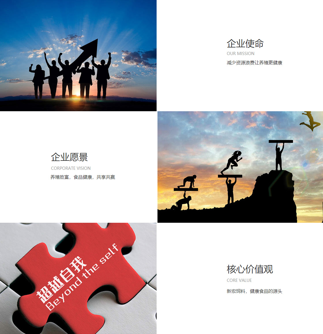 英亚体育app入口app(图1)